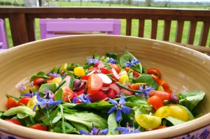 Colourful salad